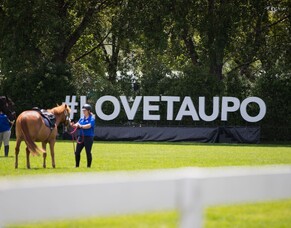 Horse fans flock to Equifest